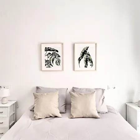 Appartement Circo 6 *